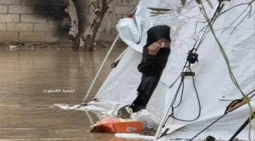 نزوح غزة يبدأ من فقدان المنزل إلى المأوى الخيمي قصة فاتن ورحلات بحثها عن الأمان 1